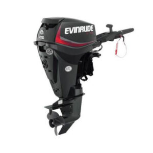 2019 EVINRUDE 25 HP E25DGTE OUTBOARD MOTOR